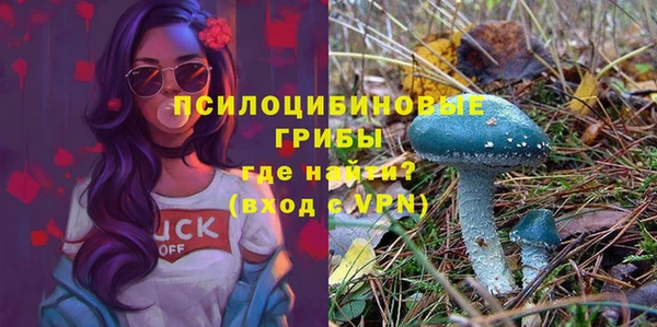 марки lsd Костерёво