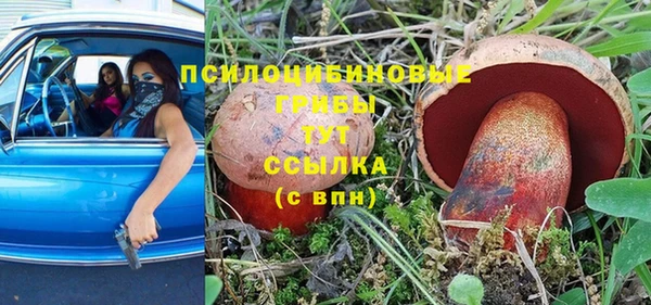 экстази Корсаков